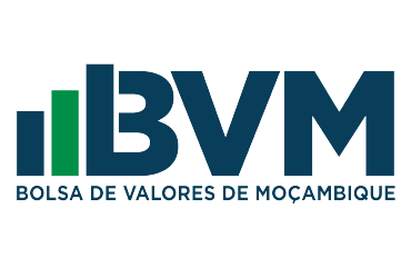 Logo - BVM